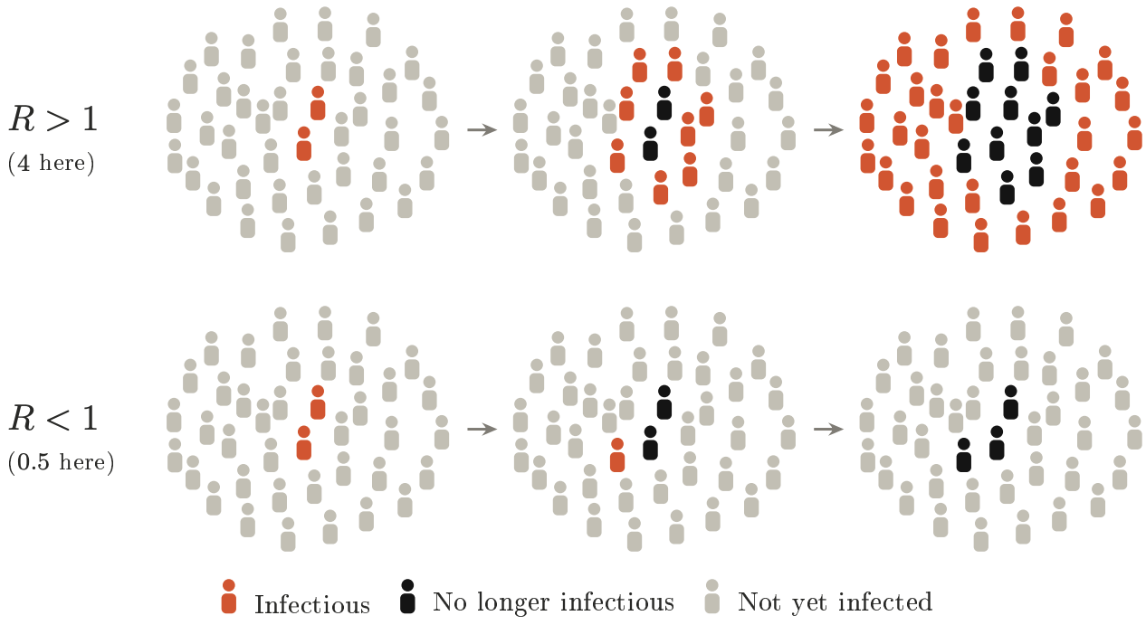Image described by the figure caption below.